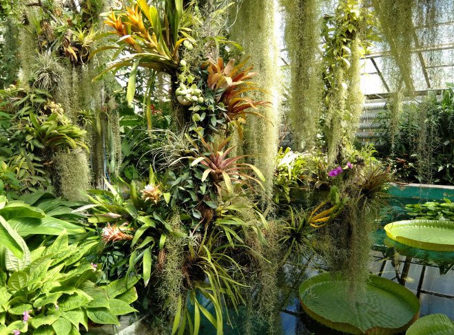 Comenius University Botanical Garden, Bratislava, Slovakia, Slovakia